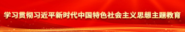 亚欧破处在线学习贯彻习近平新时代中国特色社会主义思想主题教育